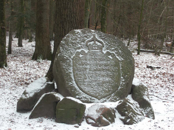 CTF Schleswig 592